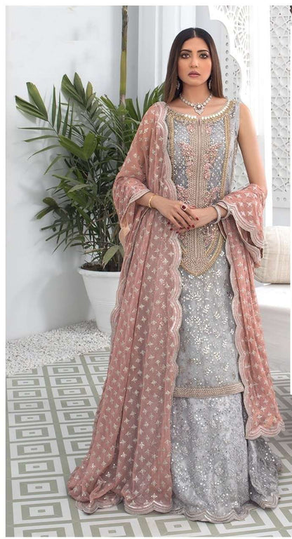 Light Grey Net Embroidered Pakistani Style Suit